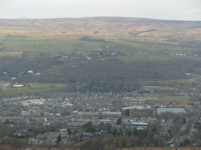 [S10549683.jpg]