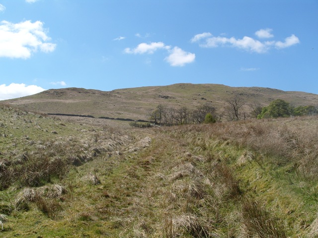 [S10552043.jpg]