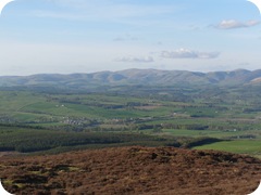 S1055356