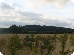 Petworth House 067