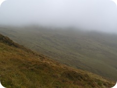 S1052719