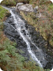S1052697