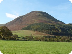 S1053073 S1053073