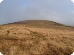 S1053439