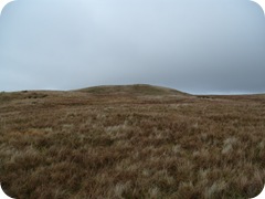 S1053479