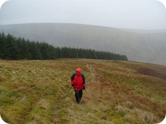 S1053520