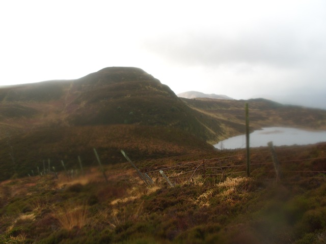 [S10535583.jpg]