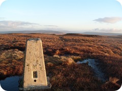 S1053885
