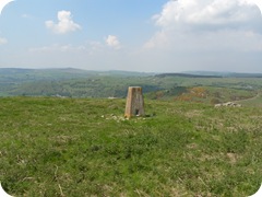S1055431