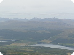 S1055650