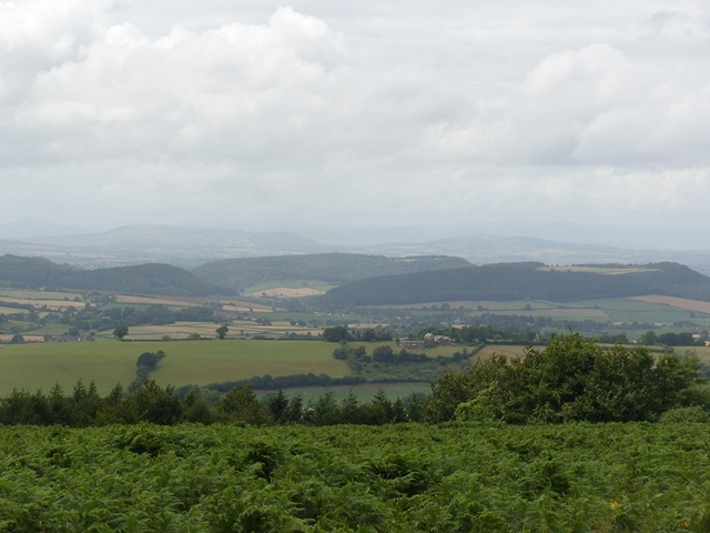 [S10500293.jpg]