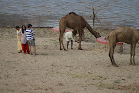 Jai Samand - A Lake Resort , Near to Udaipur , Rajasthan