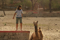 Jai Samand - A Lake Resort , Near to Udaipur , Rajasthan