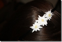 Haarreif Edelweiss 01 Kopie