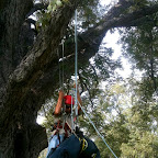 Must be extra careful managing both your own climbing system and the victims.