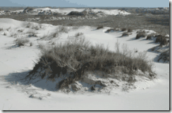 back-country-dunes-near-Gri