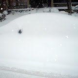 DSC04343.JPG