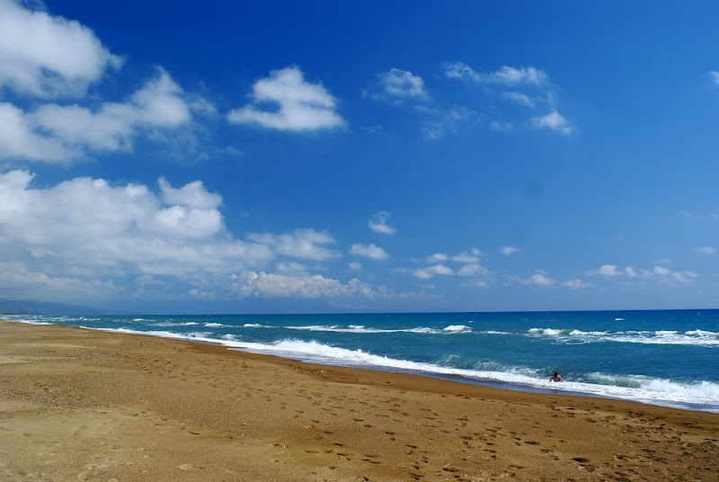 DSC04128%281%29.JPG