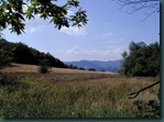 prateria1