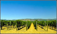 napavalley2.jpg