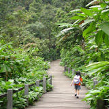 Track To Kandang Badak