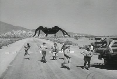 [image7.png]