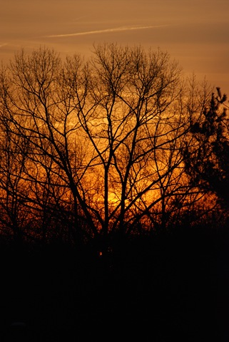 [DSC_0122[7].jpg]