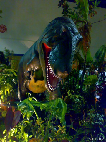 [020520097733.jpg]