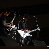 IMG_7872 (Large).JPG