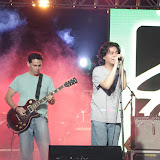 IMG_7780 (Large).JPG