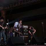 IMG_7695 (Large).JPG