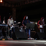 IMG_7338 (Large).JPG