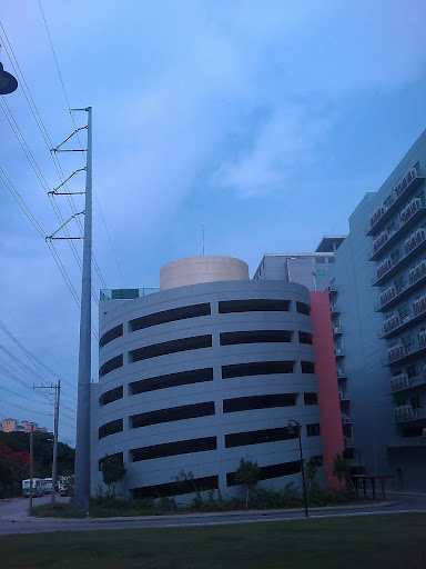 Sample 2