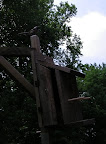 bird1