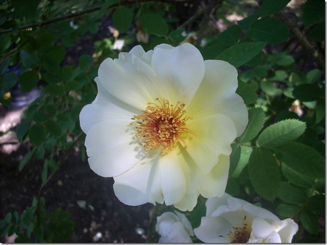 046