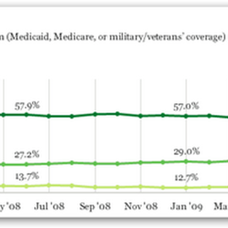 Nearly 30% of Insured Are Already Covered by Government Healthcare Plans in the US