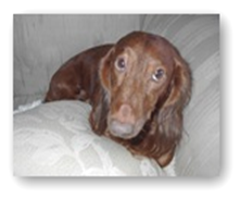 Ct+scan+of+abdomen+cpt+code