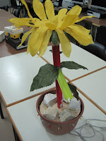 IMG_2165.JPG