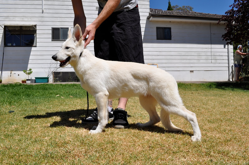  Welcome to Australia   Thor and Inga