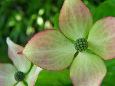 DSCF3938.JPG