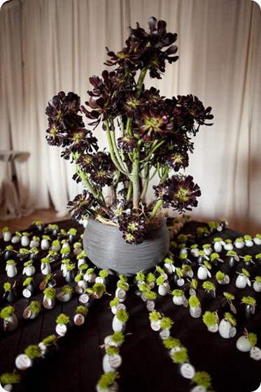 Succulent Escort card display Succulent Escort card display