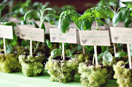 8-potted-herbs-wedding-favors