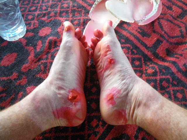 IMGP0310.JPG