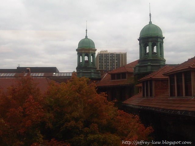 [IMG00027-20091005-1600[2].jpg]