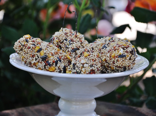 [birdfoodcraft0173.jpg]