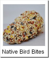 bird food craft tute
