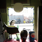 IMG_9297.JPG