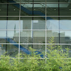 DSC02038.JPG