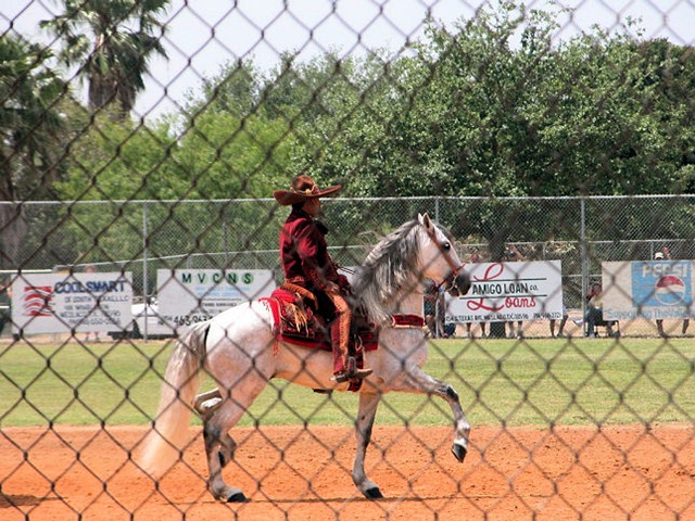[mexican dancing horses4[2].jpg]
