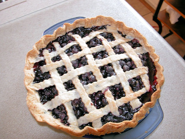 [blueberry pie[3].jpg]